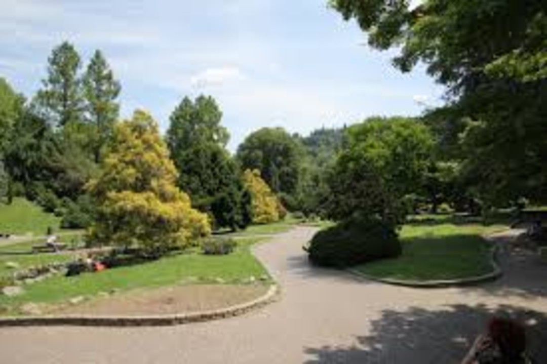 ParcoValentinop.jpeg - {ParcoValentinop.jpeg} - [51244]