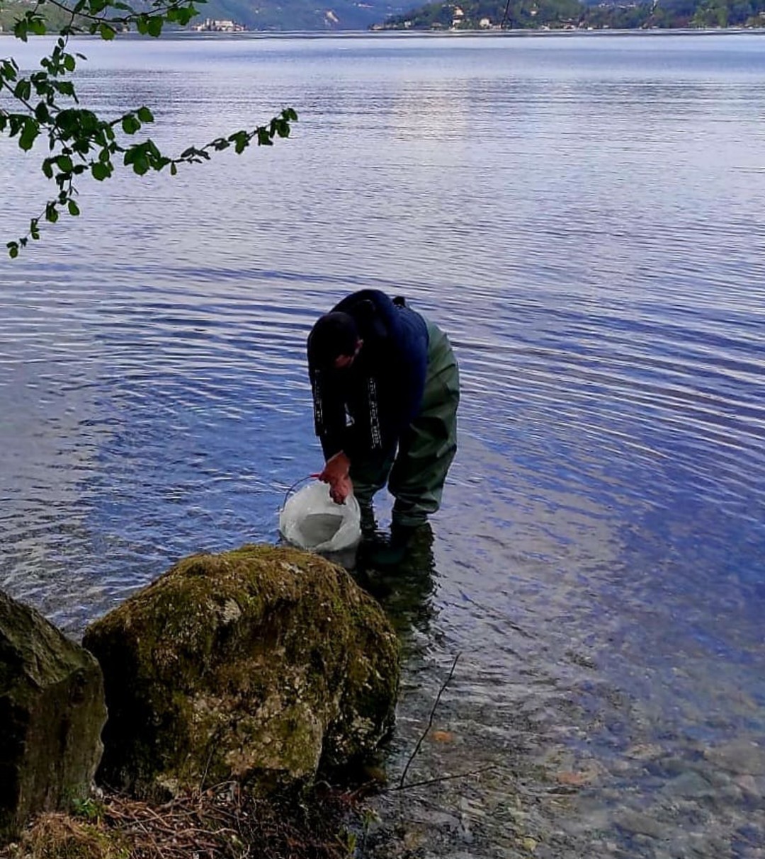 foto 1.jpg - {foto 1.jpg} - [514]