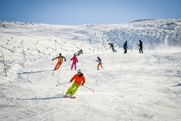Immagine Cuneo Neve.jpg - {Immagine Cuneo Neve.jpg} - [51494]