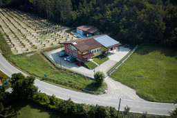 ferraris-agricola.jpg - {ferraris-agricola.jpg} - [53418]