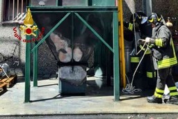 Vigili del Fuoco.jpg - {Vigili del Fuoco.jpg} - [5375]