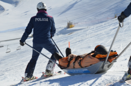 Immagine Sicurezza sulle piste da sci - Poli (2982420).png - {Immagine Sicurezza sulle piste da sci - Poli (2982420).png} - [53778]
