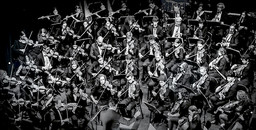 Immagine ffm1.jpg - {Immagine ffm1.jpg} - [54275]