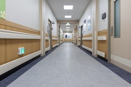 Ospedale.jpg - {Ospedale.jpg} - [54411]