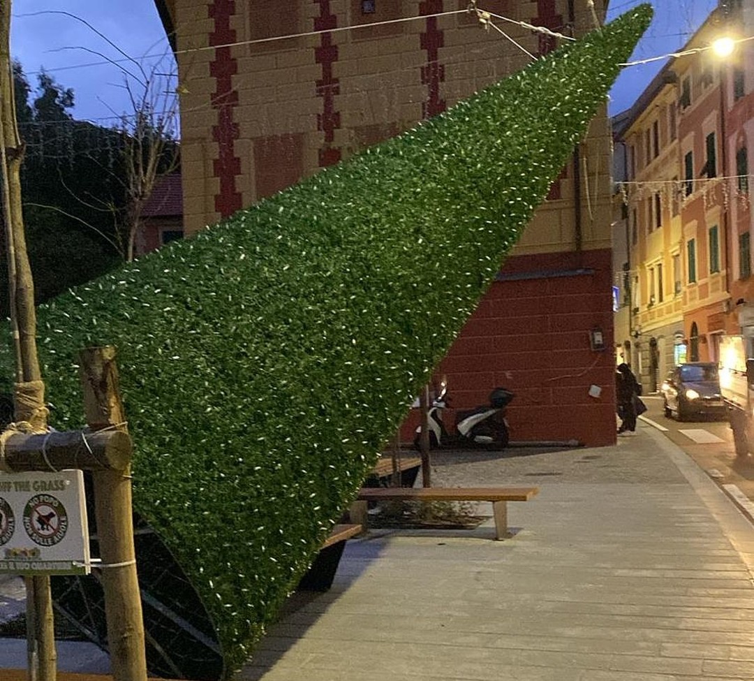 nervi-albero.jpg - {nervi-albero.jpg} - [54947]