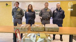 ADM_GDF_DROGA.jpg - {ADM_GDF_DROGA.jpg} - [55299]
