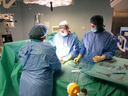 Foto intervento chirurgico - sala operatoria ospedale.jpeg - {Foto intervento chirurgico - sala operatoria ospedale.jpeg} - [55475]