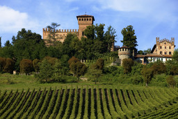 Castello di Gabiano.jpg - {Castello di Gabiano.jpg} - [5583]