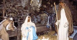 OIP (3).jpg - {OIP (3).jpg} - [56475]