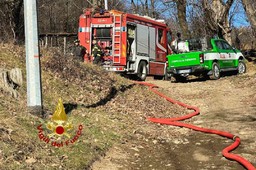 Vigili del Fuoco boschi.jpg - {Vigili del Fuoco boschi.jpg} - [56844]