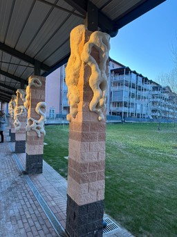 Inaugurazione Mitosi.jpg - {Inaugurazione Mitosi.jpg} - [56924]