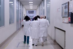 medici corsi.jpg - {medici corsi.jpg} - [57599]