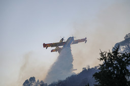 canadair-evidenza-996a1938-copia.jpg - {canadair-evidenza-996a1938-copia.jpg} - [57607]