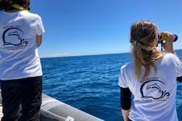 Delfini-del-ponente-gommone.jpg - {Delfini-del-ponente-gommone.jpg} - [57772]