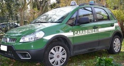 carabinieri forestali.jpg - {carabinieri forestali.jpg} - [57801]