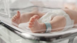 neonato.jpg - {neonato.jpg} - [58033]