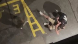 Il video diffuso sull'episodio.jpg - {Il video diffuso sull'episodio.jpg} - [5815]