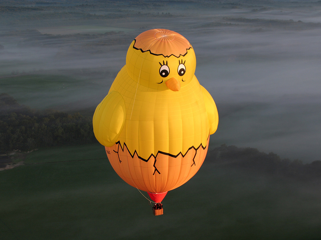 Mongolfiera Baby Chicken.jpg - {Mongolfiera Baby Chicken.jpg} - [58354]
