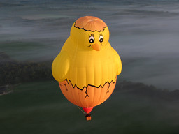 Mongolfiera Baby Chicken.jpg - {Mongolfiera Baby Chicken.jpg} - [58354]