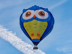 Immagine Mr Owl.jpg - {Immagine Mr Owl.jpg} - [58410]