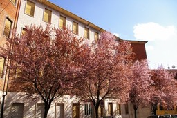 IstitutoCastiglianoasti.jpg - {IstitutoCastiglianoasti.jpg} - [58514]