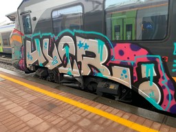 Canavesana.jpeg - {Canavesana.jpeg} - [58546]