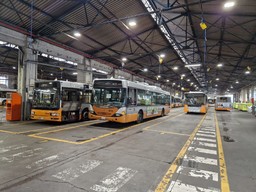 amt bus.jpeg - {amt bus.jpeg} - [58626]