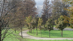 Foto di repertorio.jpg - {Foto di repertorio.jpg} - [58778]