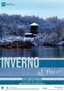 Immagine inverno al parco 25_oasi la madonni (2995905).jpg - {Immagine inverno al parco 25_oasi la madonni (2995905).jpg} - [60854]