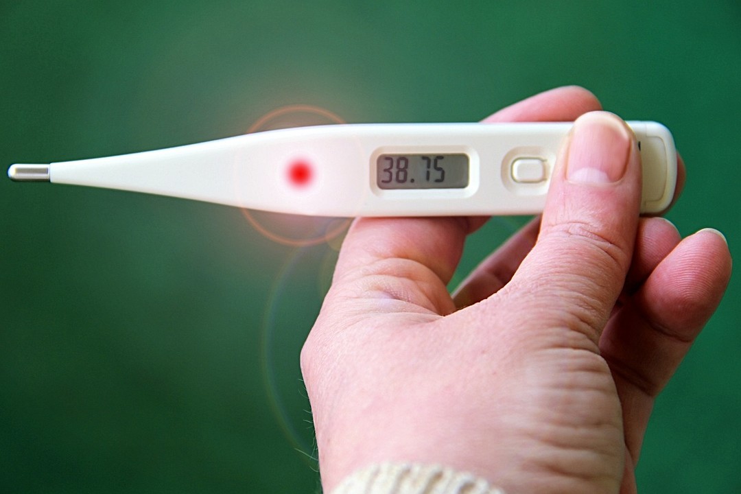 influenza.jpg - {influenza.jpg} - [61134]