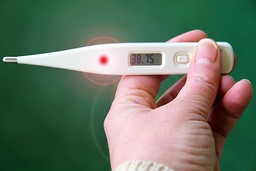 influenza.jpg - {influenza.jpg} - [61134]