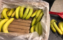 Screenshot 2025-01-15 090317.png - {Screenshot 2025-01-15 090317.png} - [62143]