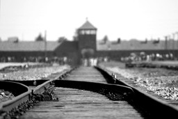 giornata-della-memoria.jpg - {giornata-della-memoria.jpg} - [62911]