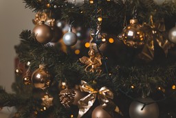 Albero di Natale.jpg - {Albero di Natale.jpg} - [63119]