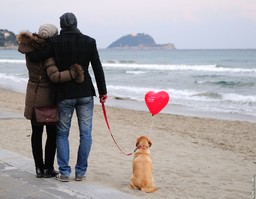 loveinalassio-05 (1).jpg - {loveinalassio-05 (1).jpg} - [63679]