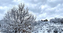 neve-1210x642.jpg - {neve-1210x642.jpg} - [63727]