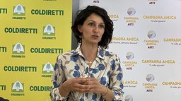 MonticoneAsti.jpg - {MonticoneAsti.jpg} - [64024]