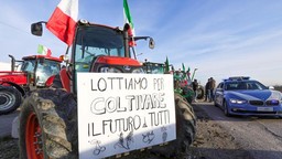 TrattoriProteste.jpg - {TrattoriProteste.jpg} - [64273]