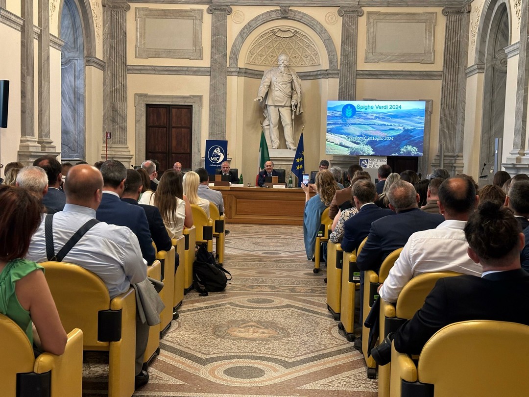 SpigheVerdi2024.jpeg - {SpigheVerdi2024.jpeg} - [6455]