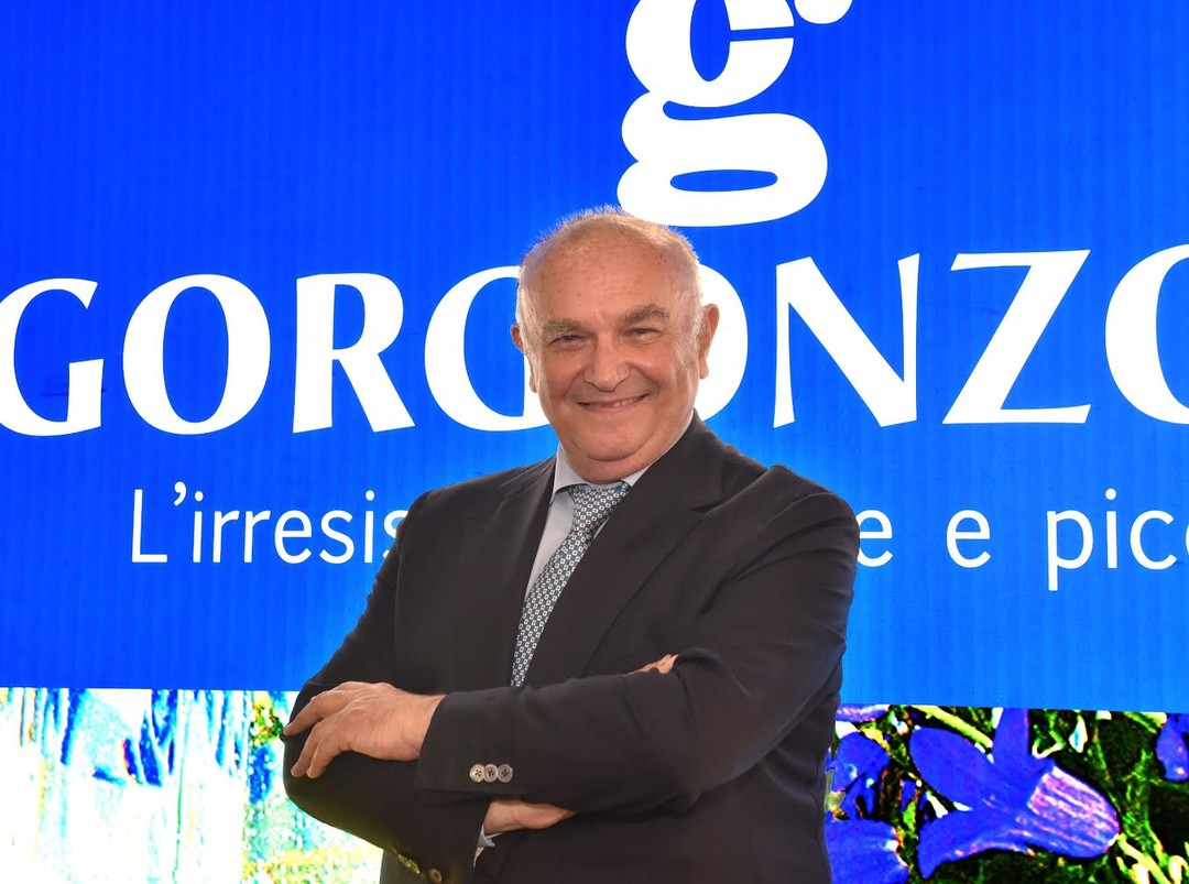 Gorgonzola.jpg - {Gorgonzola.jpg} - [64626]