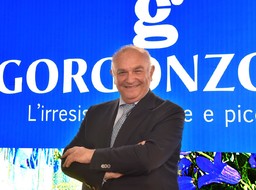 Gorgonzola.jpg - {Gorgonzola.jpg} - [64626]