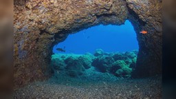 area marina protetta bergeggi.jpg - {area marina protetta bergeggi.jpg} - [64771]