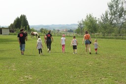 Immagine La Collina degli Elfi_1.jpg - {Immagine La Collina degli Elfi_1.jpg} - [64907]