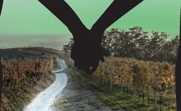 1.jpg - {1.jpg} - [65419]