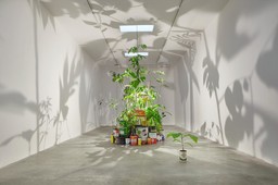 Foto mostra Adrian Balseca.jpg - {Foto mostra Adrian Balseca.jpg} - [65460]