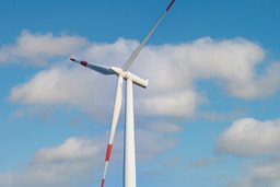 shutterstock_1847462995.jpg - {shutterstock_1847462995.jpg} - [65604]