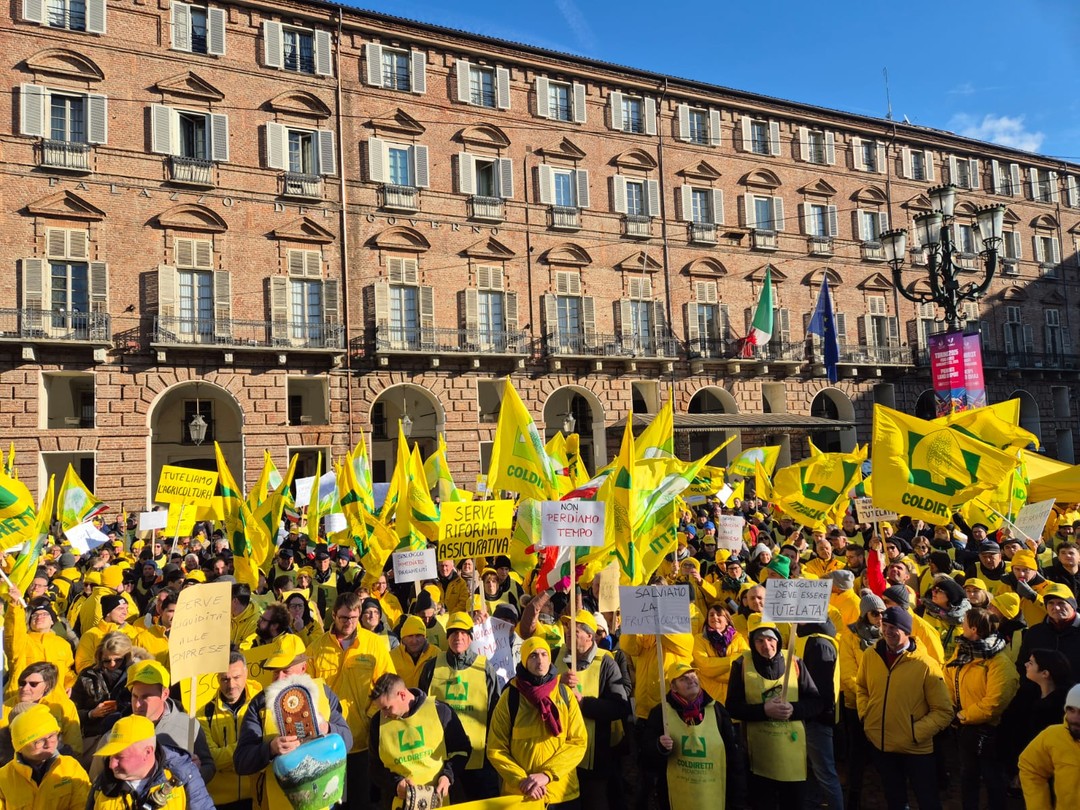 Manifestazione Torino.JPG - {Manifestazione Torino.JPG} - [65684]