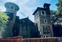Al via il bando per il Borgo Medievale di Torino.jpg - {Al via il bando per il Borgo Medievale di Torino.jpg} - [65708]