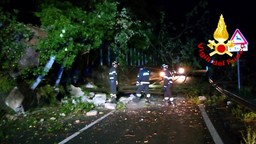 vigili del fuoco .jpg - {vigili del fuoco .jpg} - [65740]