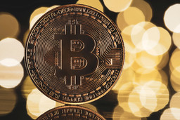 Bitcoin.jpg - {Bitcoin.jpg} - [65780]